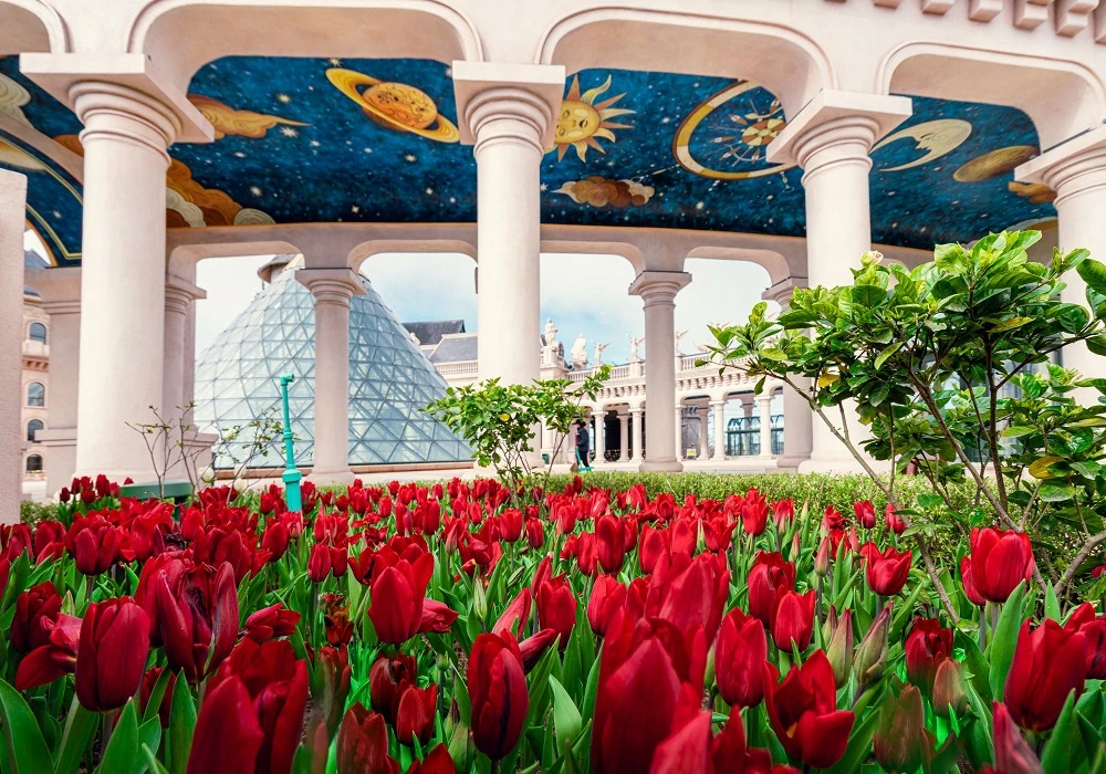 Hàng nghìn du khách đón Tết Bính Ngọ cùng hơn triệu bông tulip tại Sun World Ba Na Hills