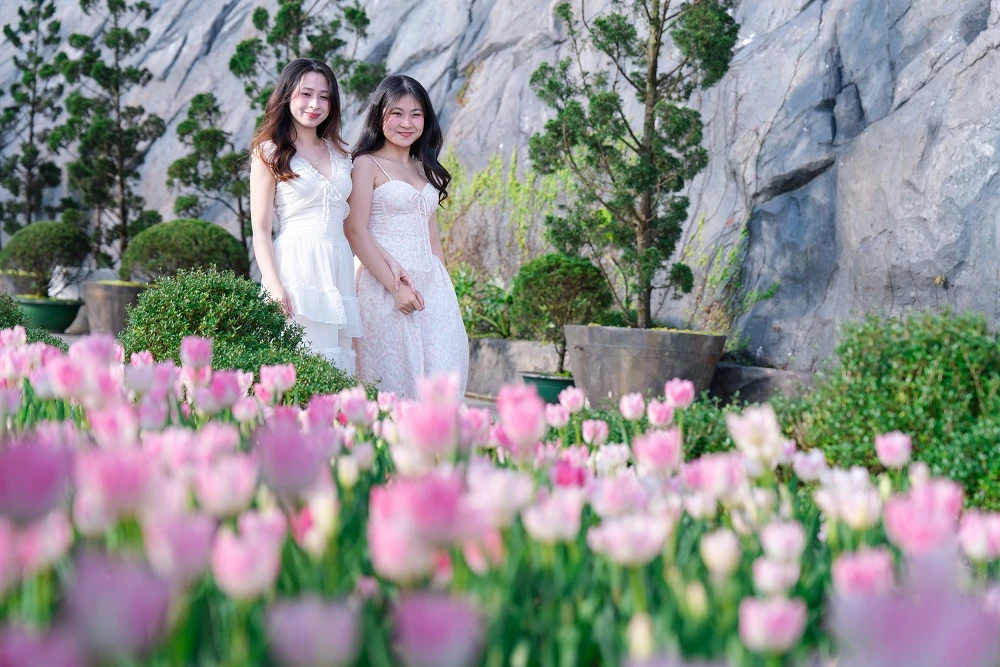 Hàng nghìn du khách đón Tết Bính Ngọ cùng hơn triệu bông tulip tại Sun World Ba Na Hills