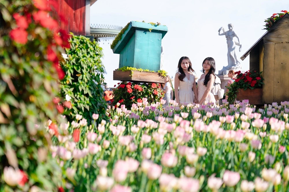 Hàng nghìn du khách đón Tết Bính Ngọ cùng hơn triệu bông tulip tại Sun World Ba Na Hills