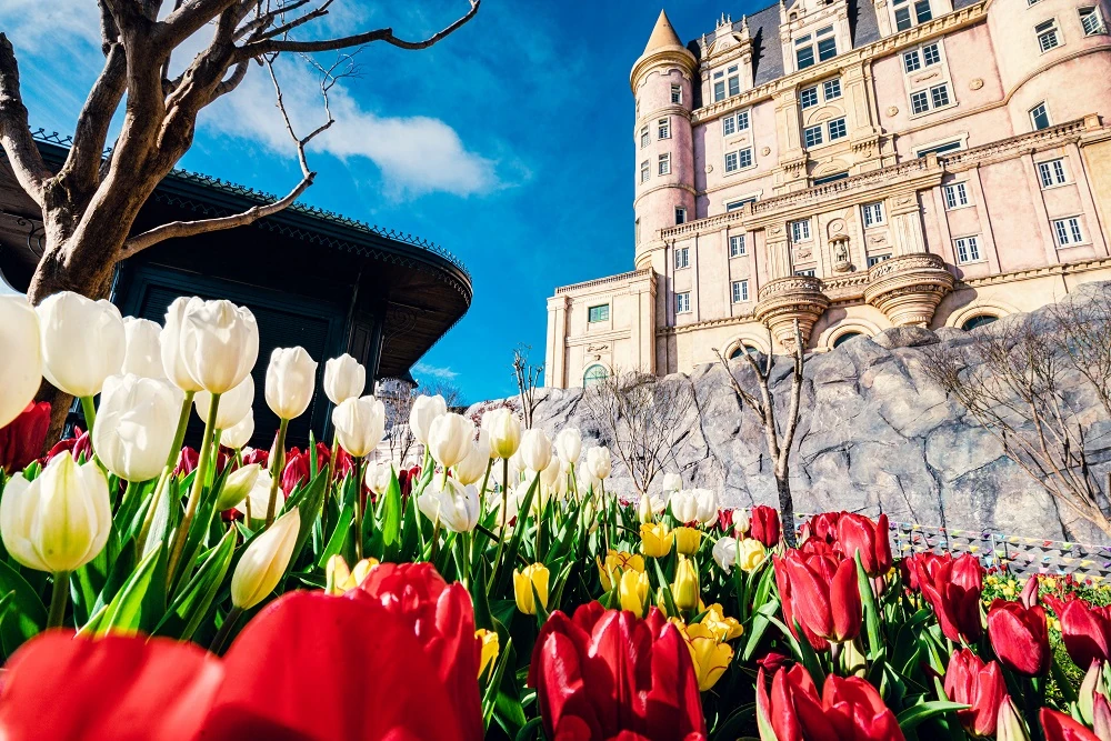 Hàng nghìn du khách đón Tết Bính Ngọ cùng hơn triệu bông tulip tại Sun World Ba Na Hills