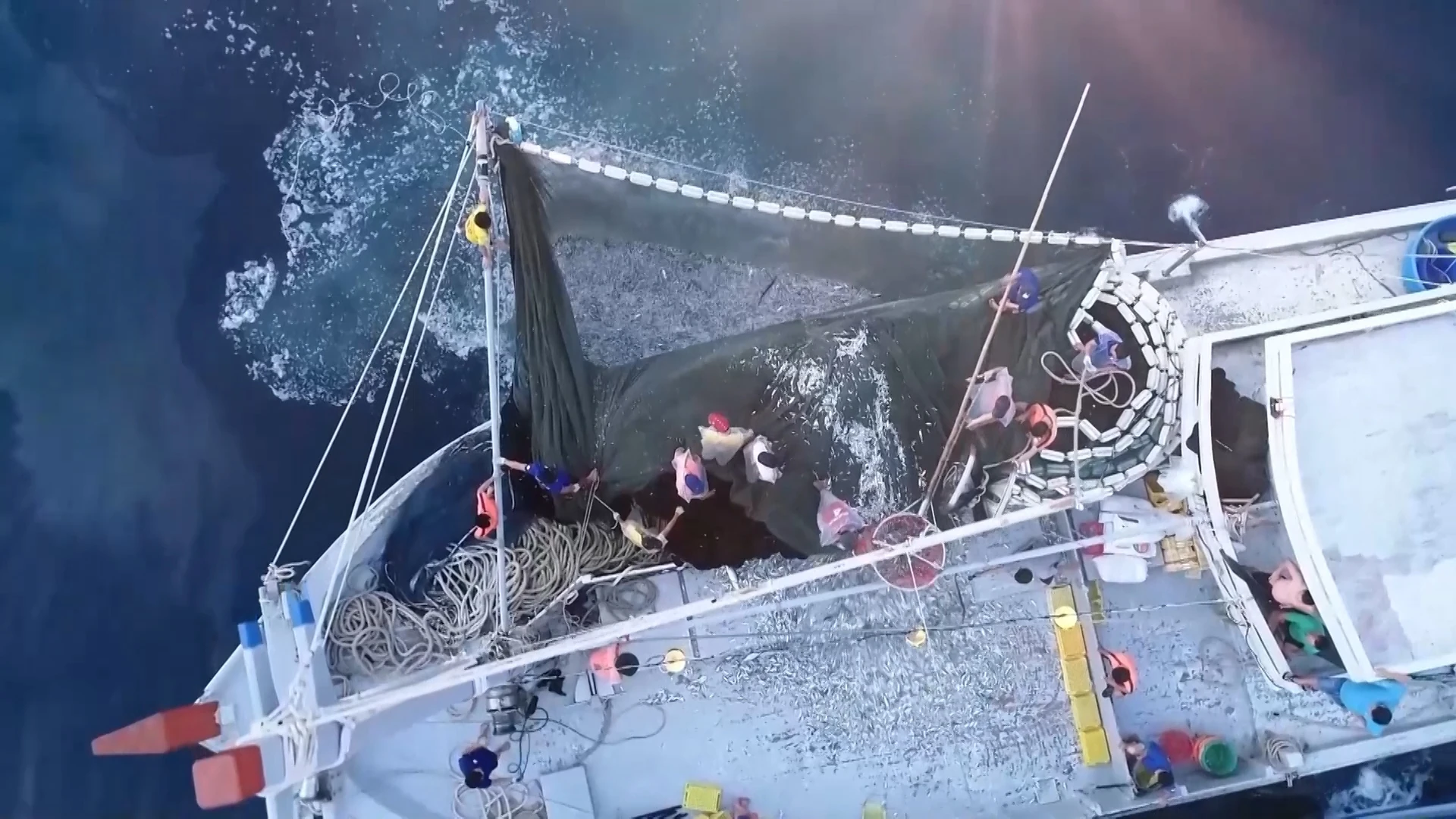 Trò chuyện đầu xuân: Giá trị truyền thống trong nhịp sống hiện đại