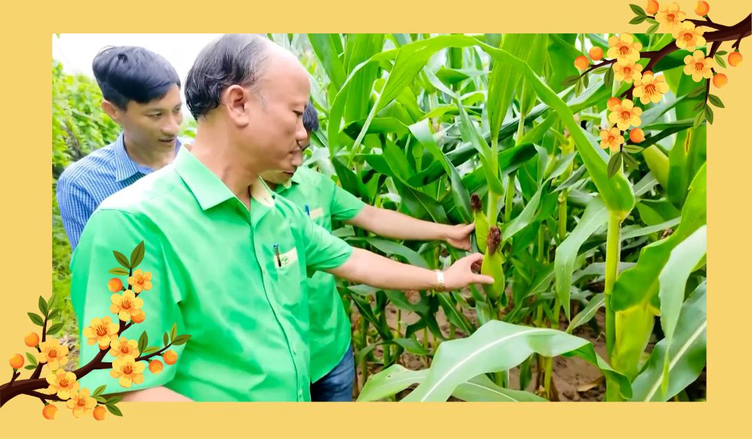 Trò chuyện đầu xuân: Tư duy doanh nhân và khát vọng nông nghiệp bền vững