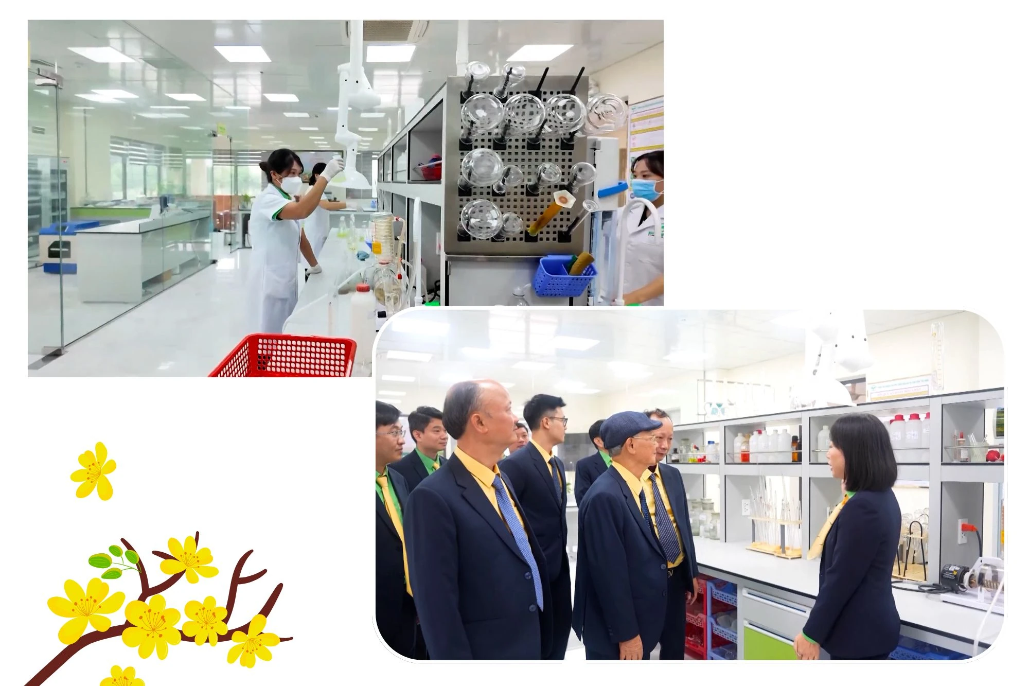 Trò chuyện đầu xuân: Tư duy doanh nhân và khát vọng nông nghiệp bền vững