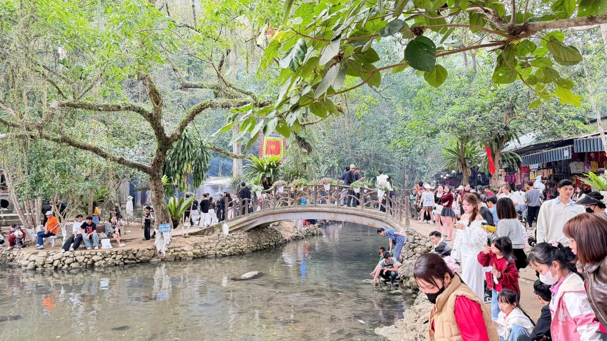 Du xuân ở Khu du lịch suối cá thần Cẩm Lương