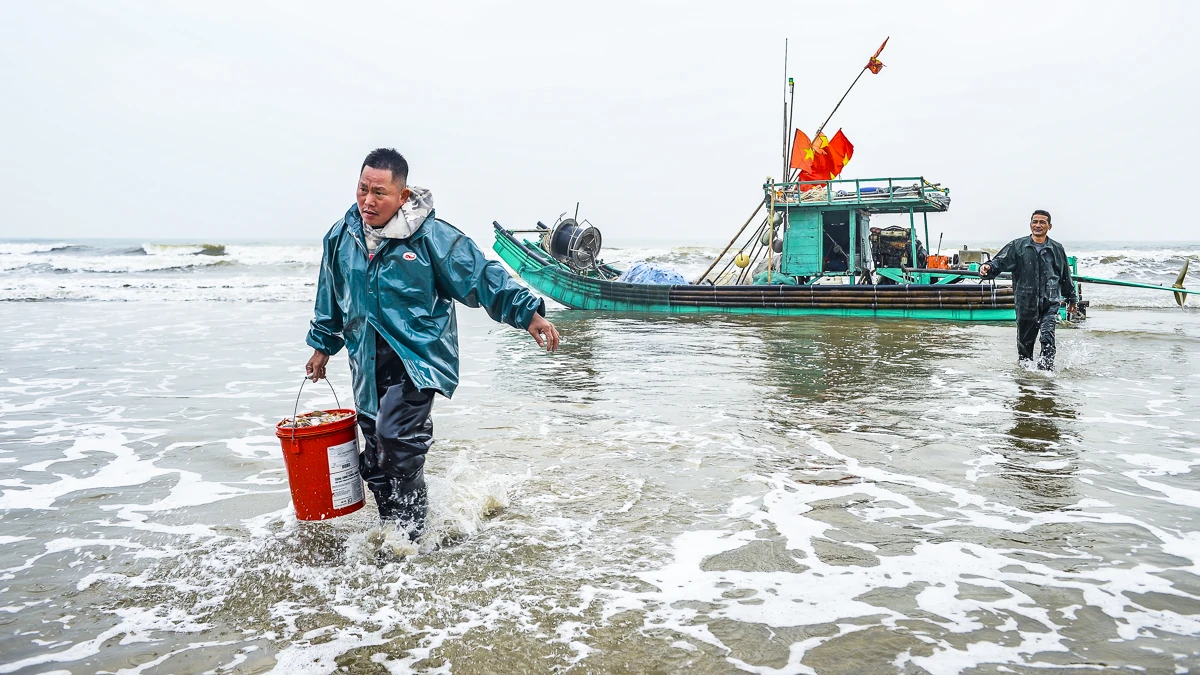 Ngư dân xứ Thanh mở biển Xuân Bính Ngọ, đón lộc biển đầu năm