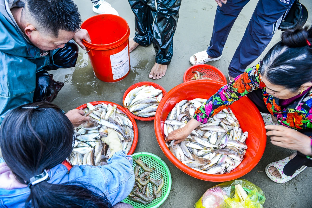Ngư dân xứ Thanh mở biển Xuân Bính Ngọ, đón lộc biển đầu năm