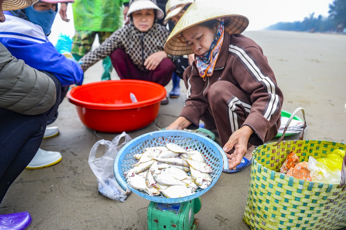 Ngư dân xứ Thanh mở biển Xuân Bính Ngọ, đón lộc biển đầu năm