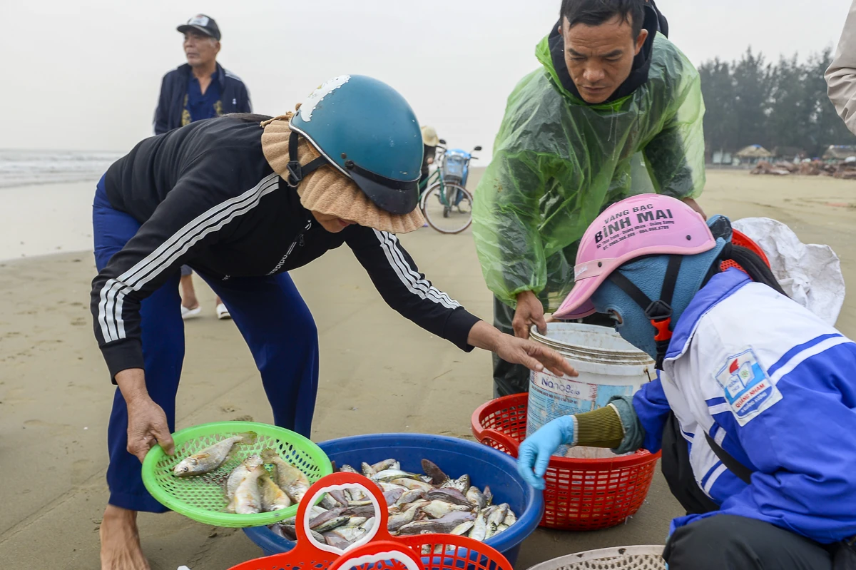 Ngư dân xứ Thanh mở biển Xuân Bính Ngọ, đón lộc biển đầu năm