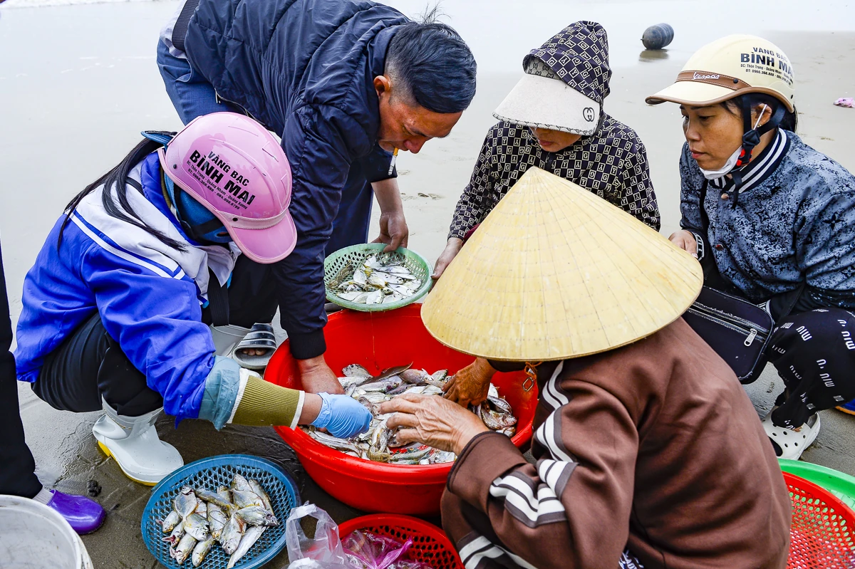 Ngư dân xứ Thanh mở biển Xuân Bính Ngọ, đón lộc biển đầu năm