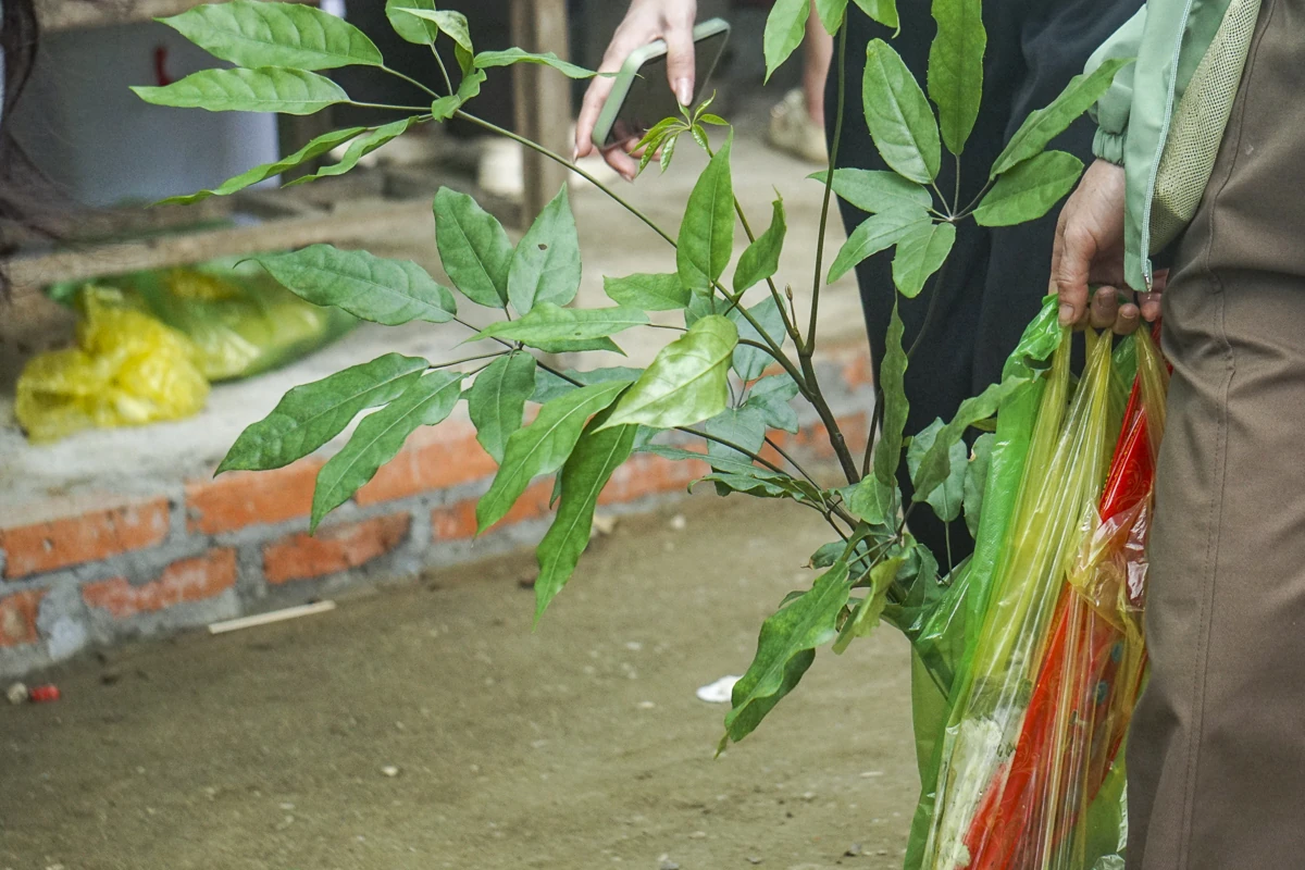 Tấp nập du khách về Phủ Na đầu xuân