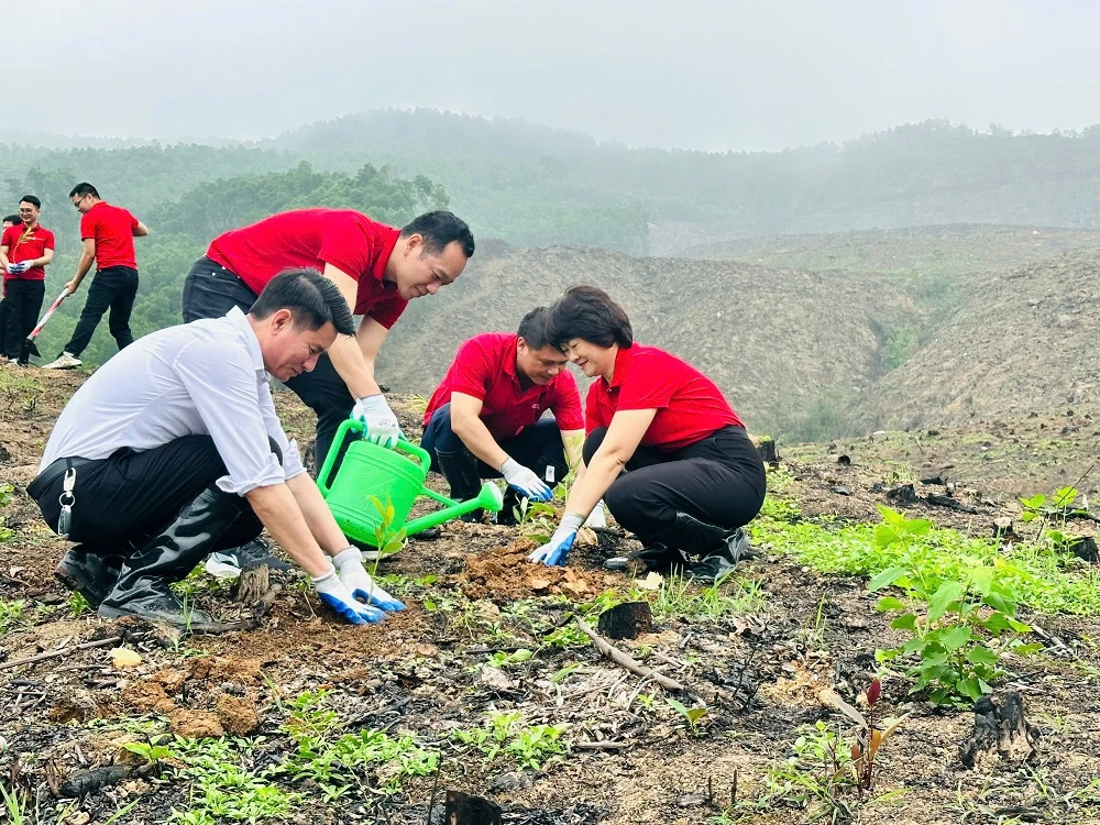 Agribank Nam Thanh Hóa tổ chức Tết trồng cây 2026