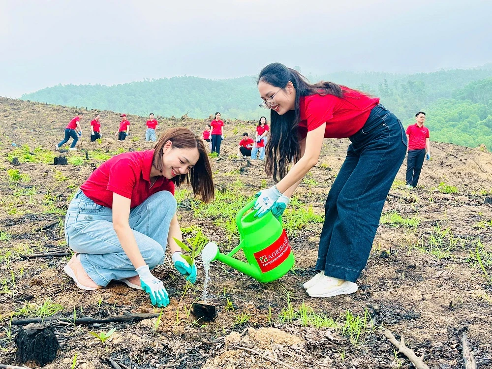 Agribank Nam Thanh Hóa tổ chức Tết trồng cây 2026