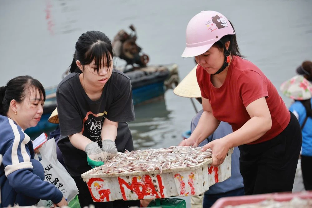 Biển Nghi Sơn nhộn nhịp đầu năm