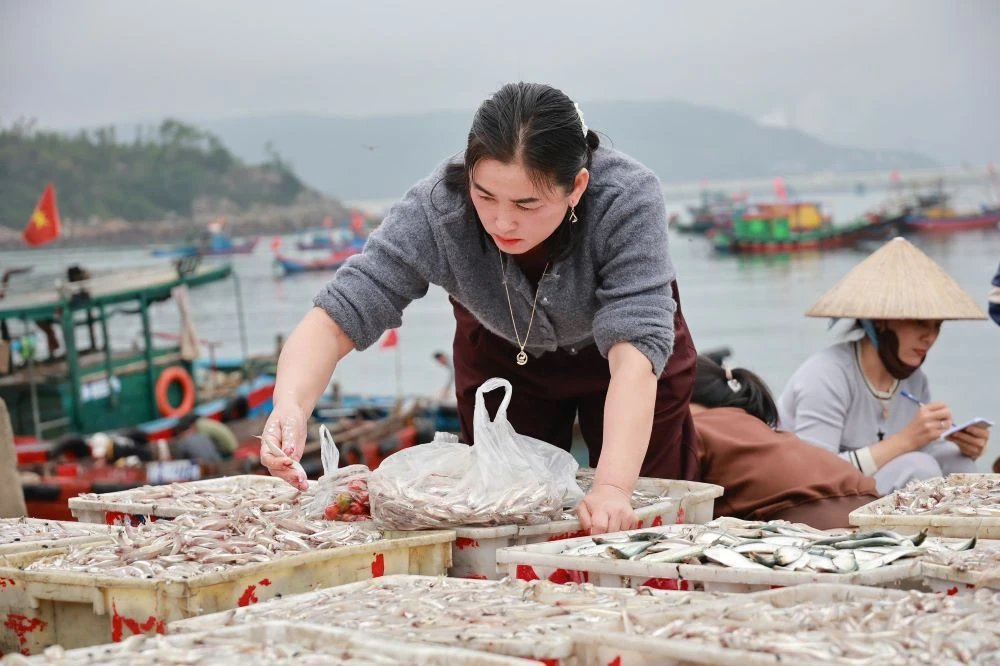 Biển Nghi Sơn nhộn nhịp đầu năm