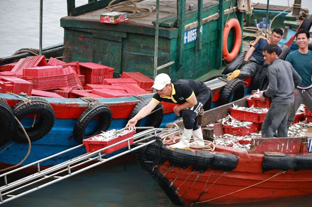 Biển Nghi Sơn nhộn nhịp đầu năm