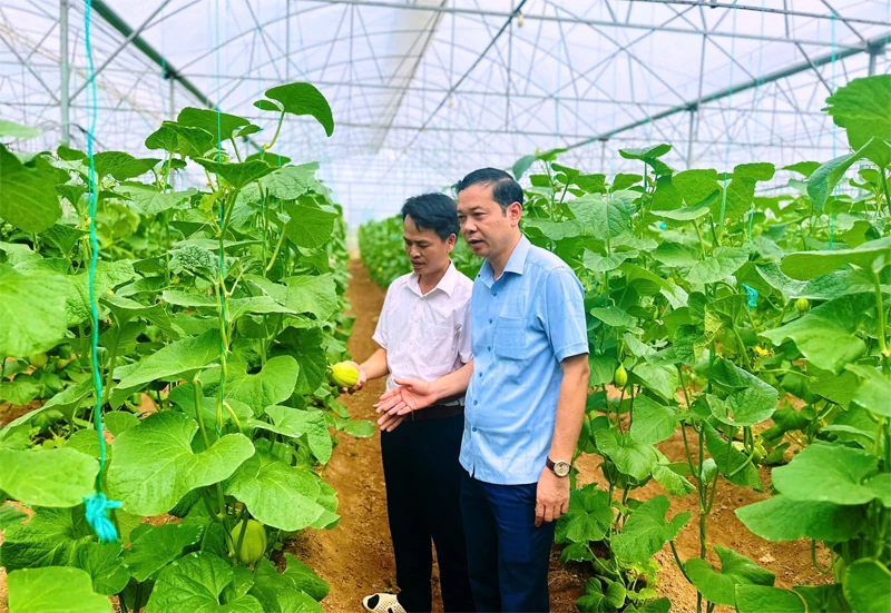 Nga Thắng đưa nghị quyết vào cuộc sống