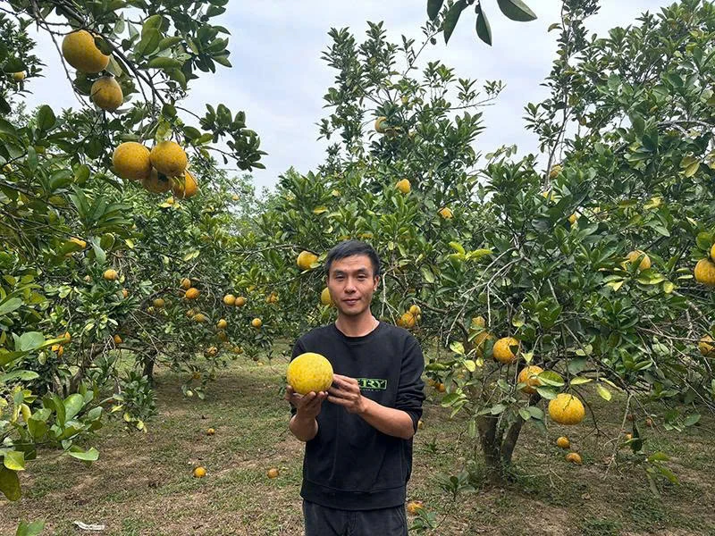 Khát vọng khởi nghiệp trên vùng đất khó