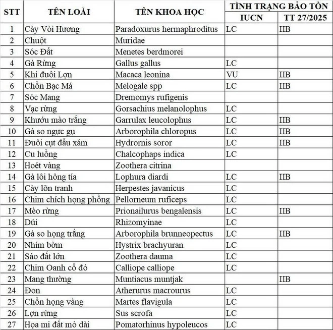 Ghi nhận 27 loài động vật hoang dã trong rừng bảo vệ di tích Văn hoá thế giới Mỹ Sơn