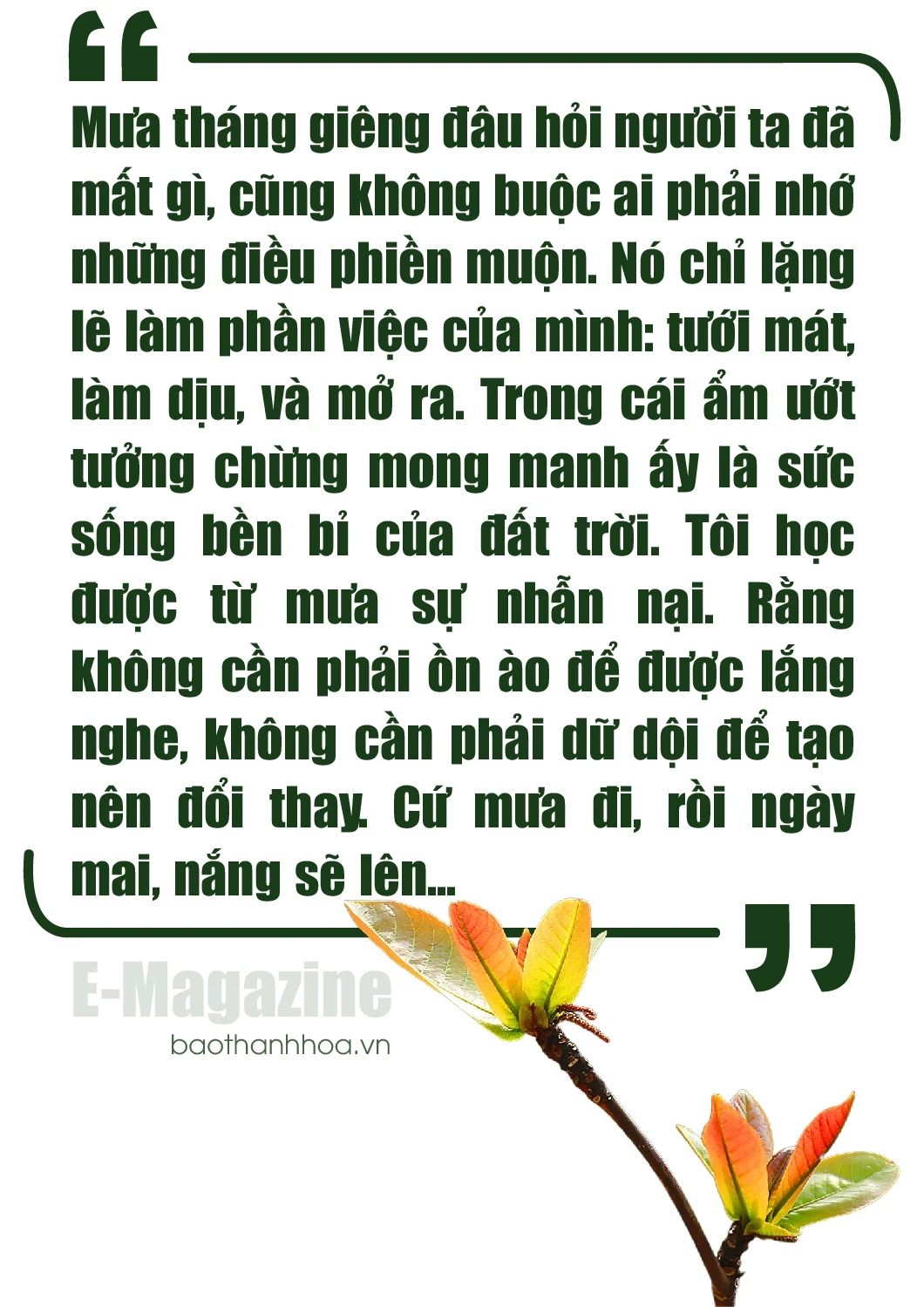 [E-Magazine]: Rồi ngày mai, nắng sẽ lên