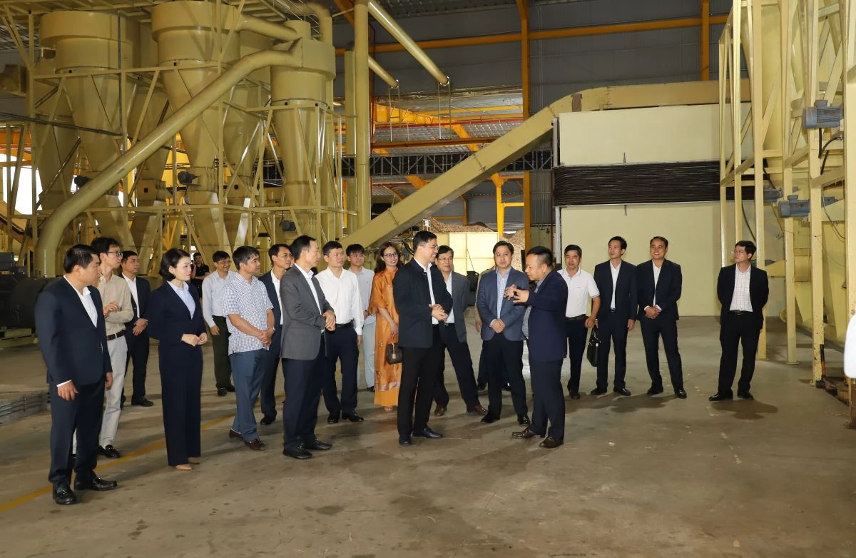 Phó Bí thư Thường trực Tỉnh ủy Nguyễn Hồng Phong dự lễ ra quân sản xuất đầu năm và làm việc tại xã Tân Thành