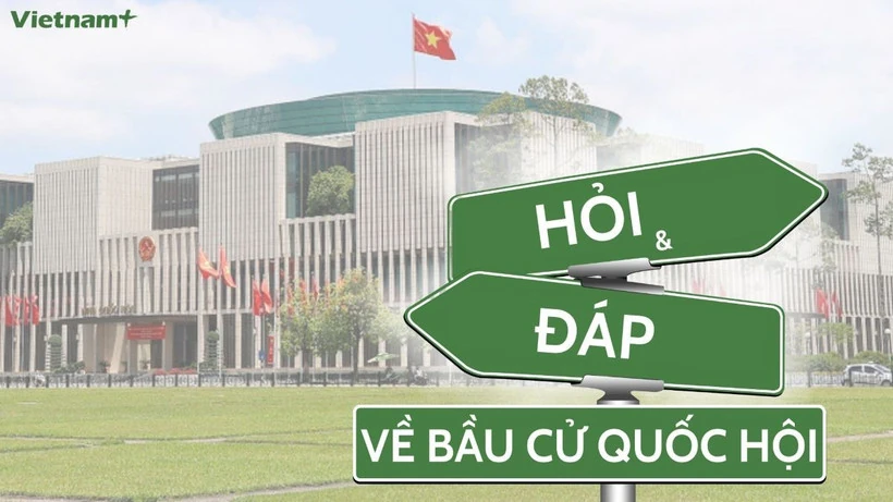 Việc vận động bầu cử thông qua các phương tiện thông tin đại chúng được quy định như thế nào?