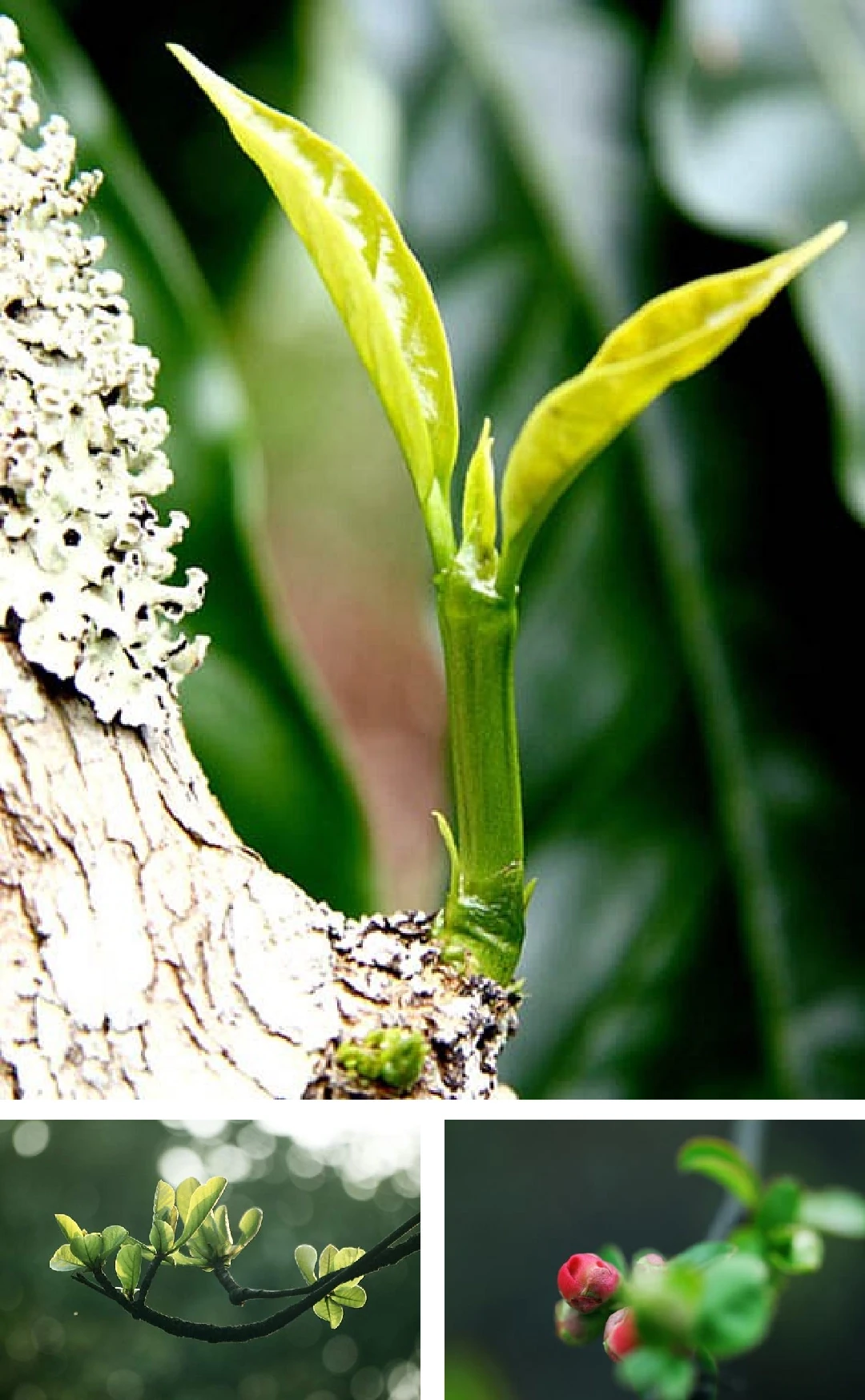 [E-Magazine]: Nghiêng vai tháng Giêng