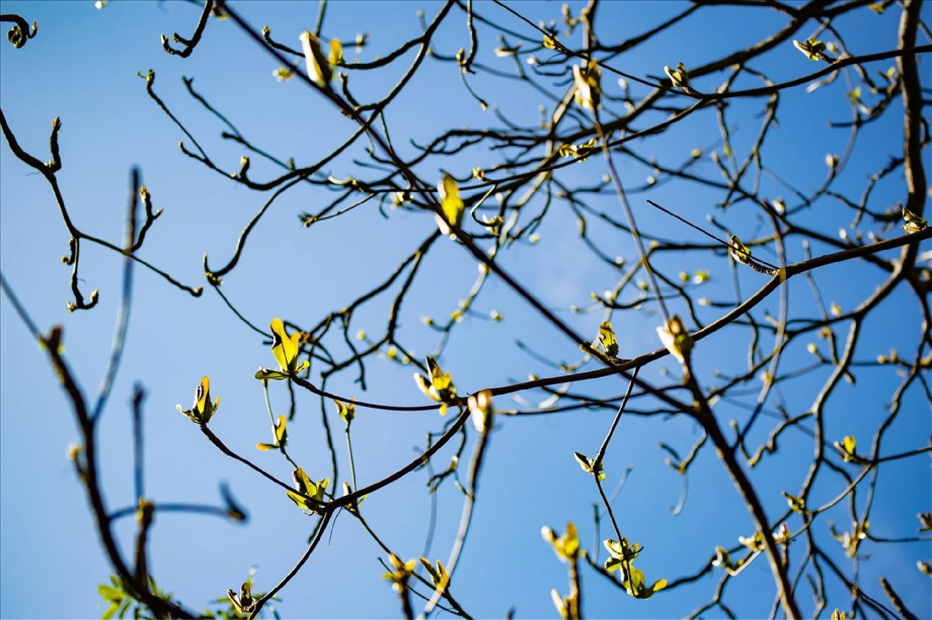 [E-Magazine]: Nghiêng vai tháng Giêng