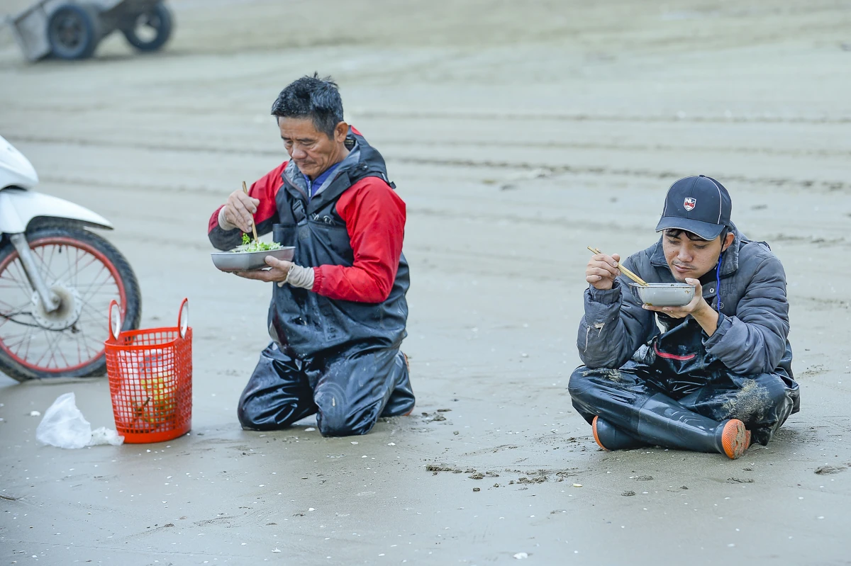 Rộn ràng mùa sứa biển ở vùng bãi ngang xứ Thanh