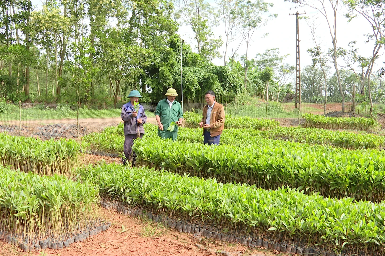 Tạo việc làm bền vững, tăng thu nhập cho lao động nông thôn