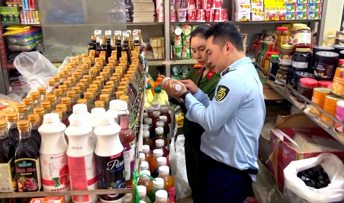 Thu giữ gần 2 tấn ruốc gà, ruốc lợn, đồ ăn vặt không rõ xuất xứ