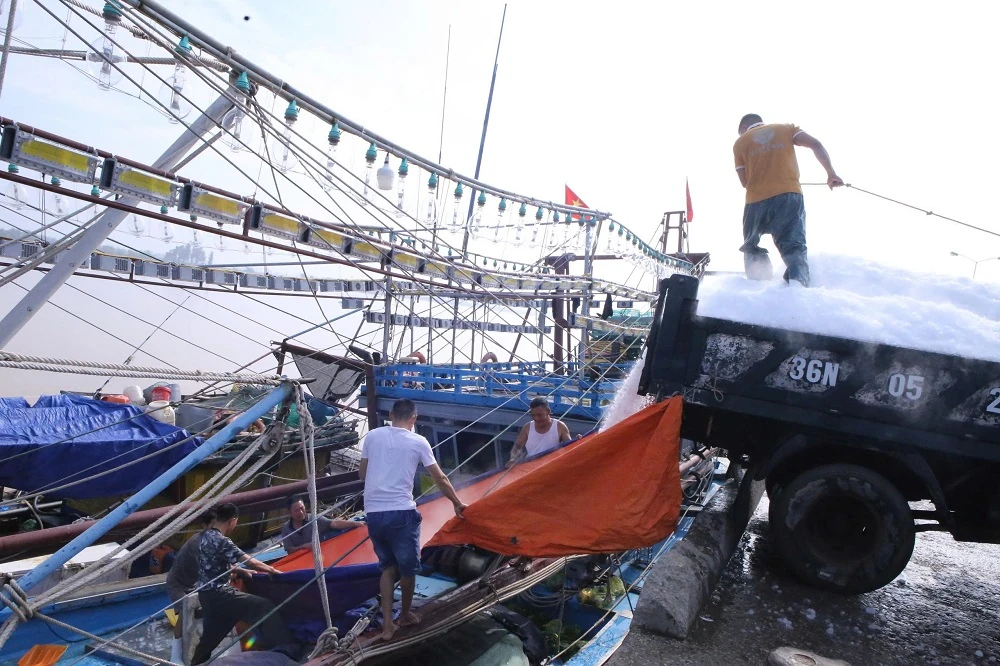 Ngư dân linh hoạt thích ứng trước “bão giá” của xăng dầu