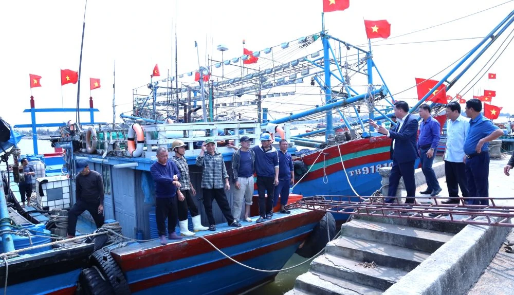 Ngọc Sơn sẵn sàng ngày hội lớn