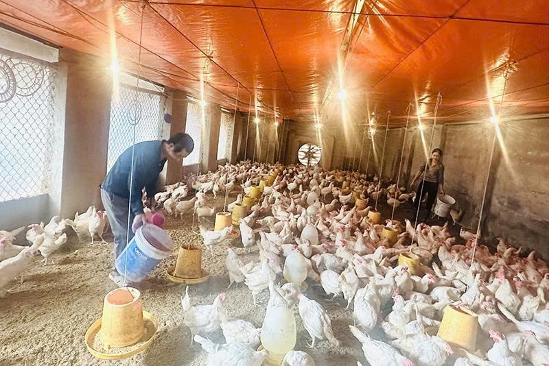 Kênh cho vay vốn hiệu quả phục vụ sản xuất khu vực nông thôn