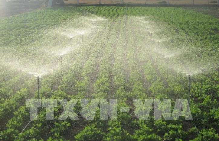 Thị trường carbon: Việt Nam chuẩn bị sẵn sàng các điều kiện vận hành