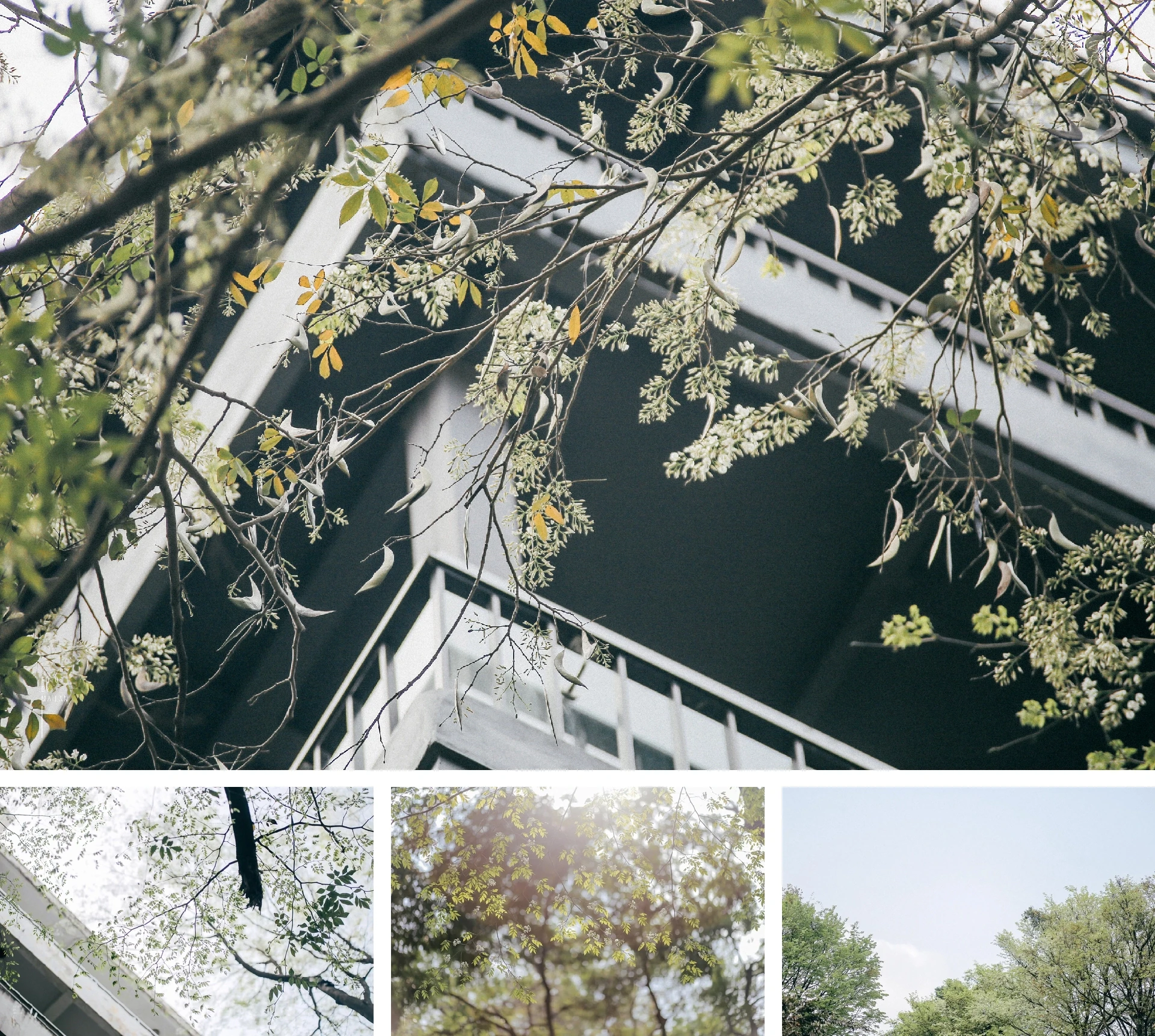 [E-Magazine] Chân người in dấu nẻo quê