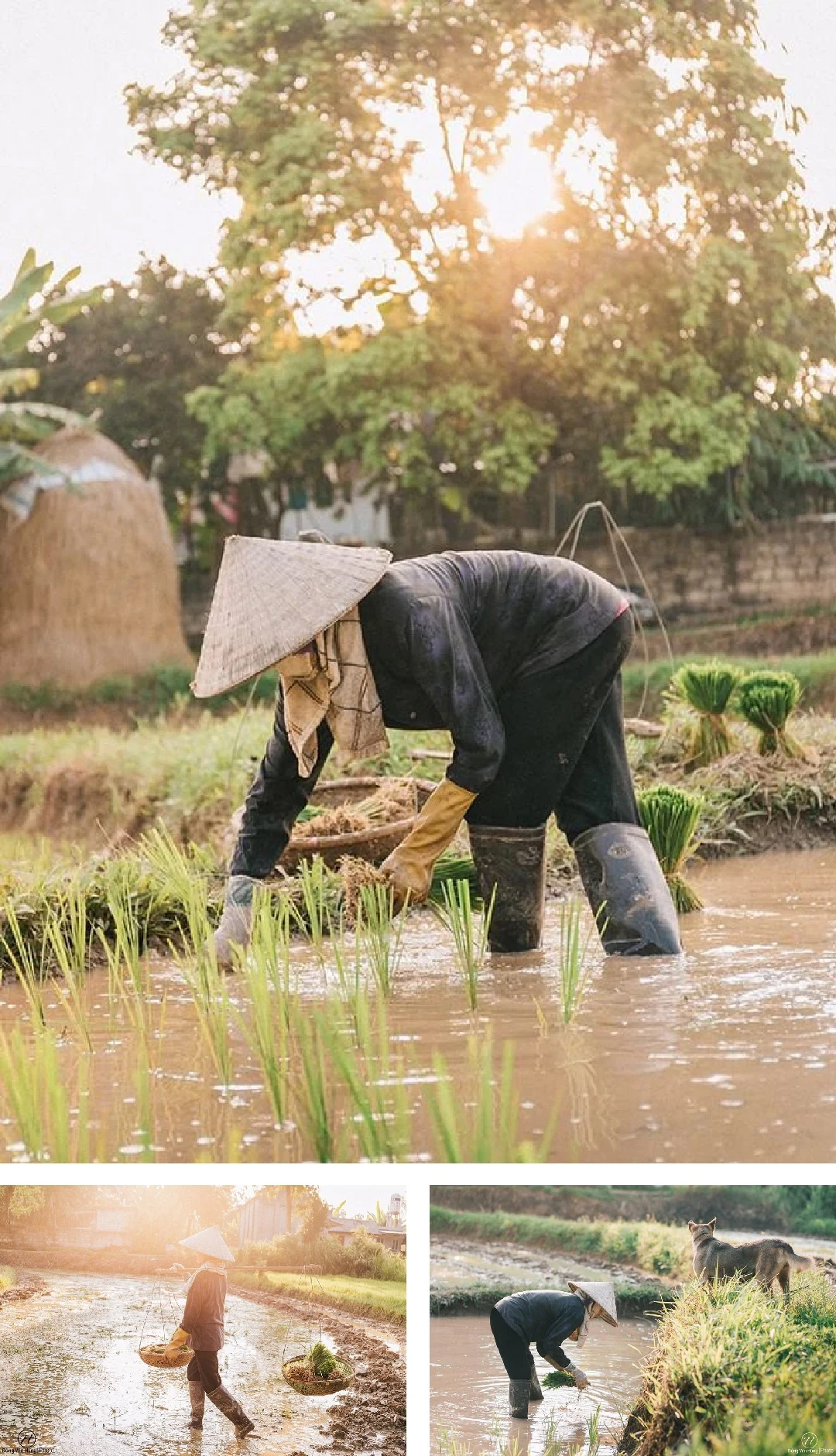 [E-Magazine] Chân người in dấu nẻo quê