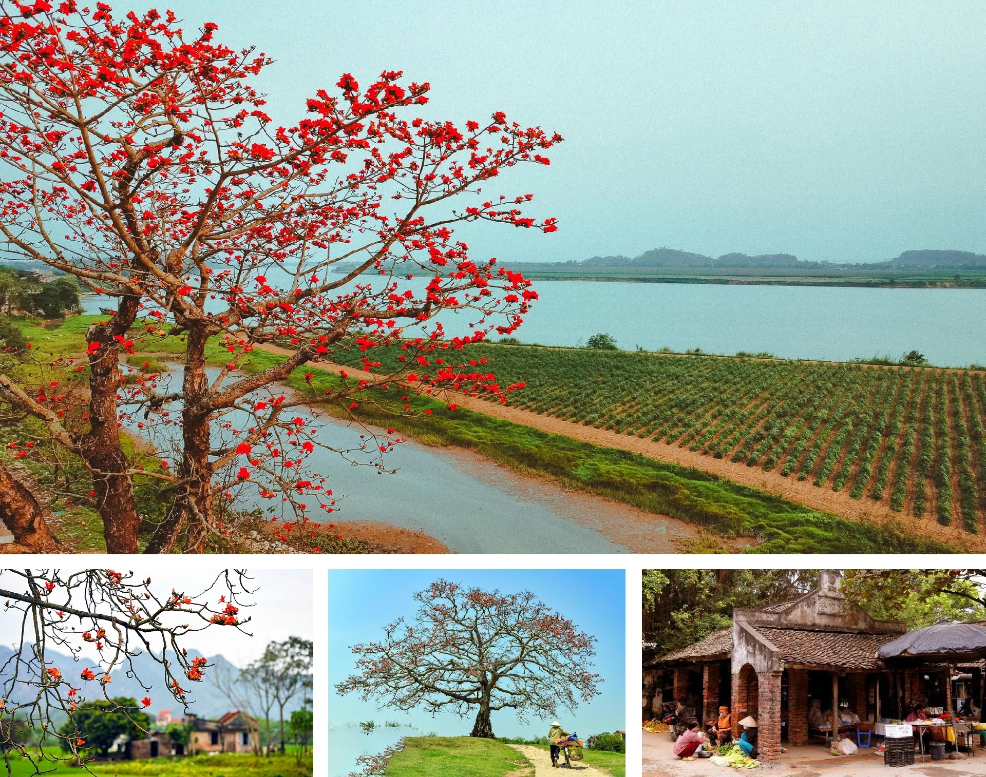 [E-Magazine] Chân người in dấu nẻo quê