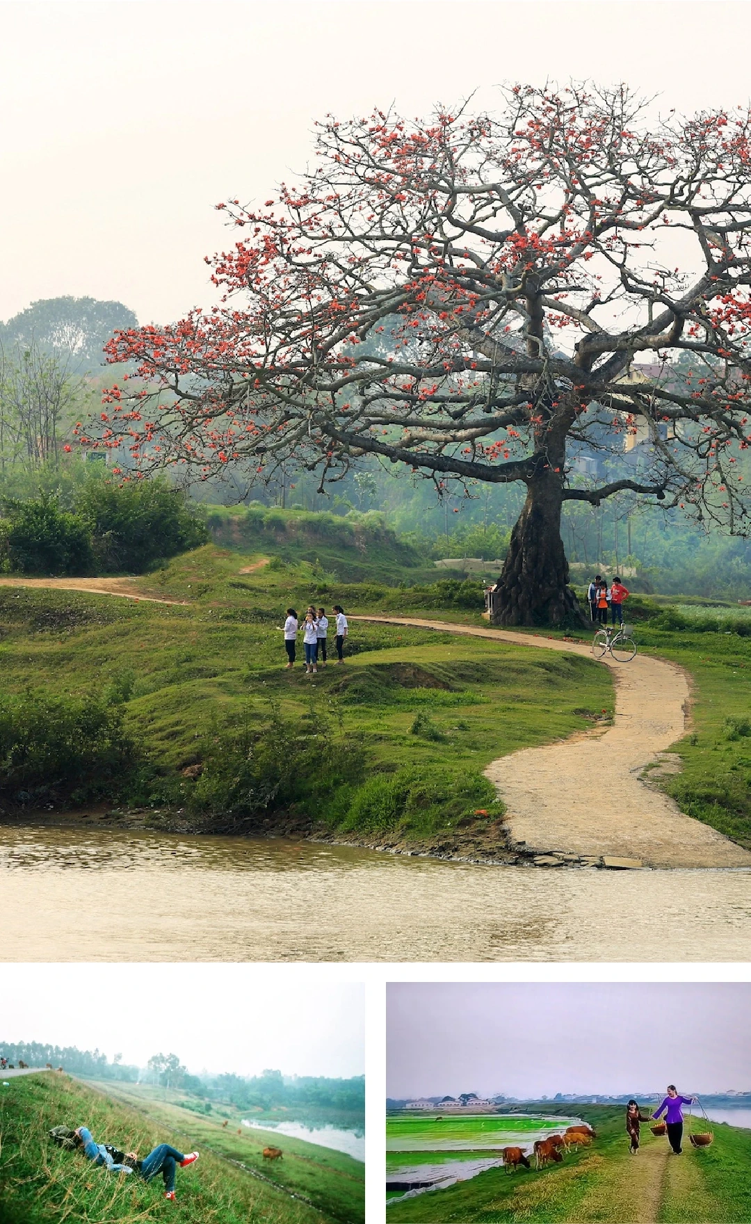 [E-Magazine] Chân người in dấu nẻo quê