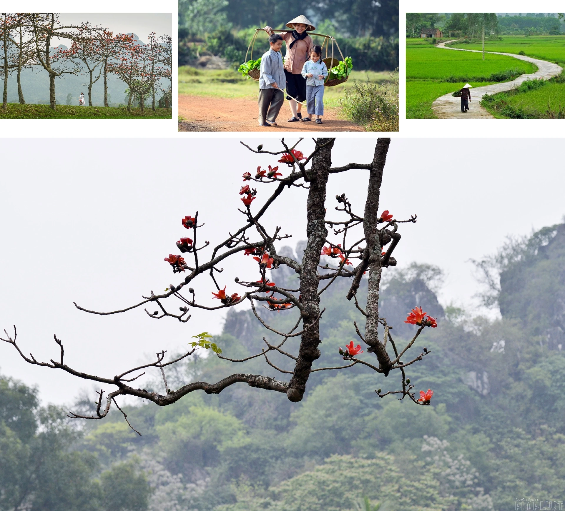 [E-Magazine] Chân người in dấu nẻo quê