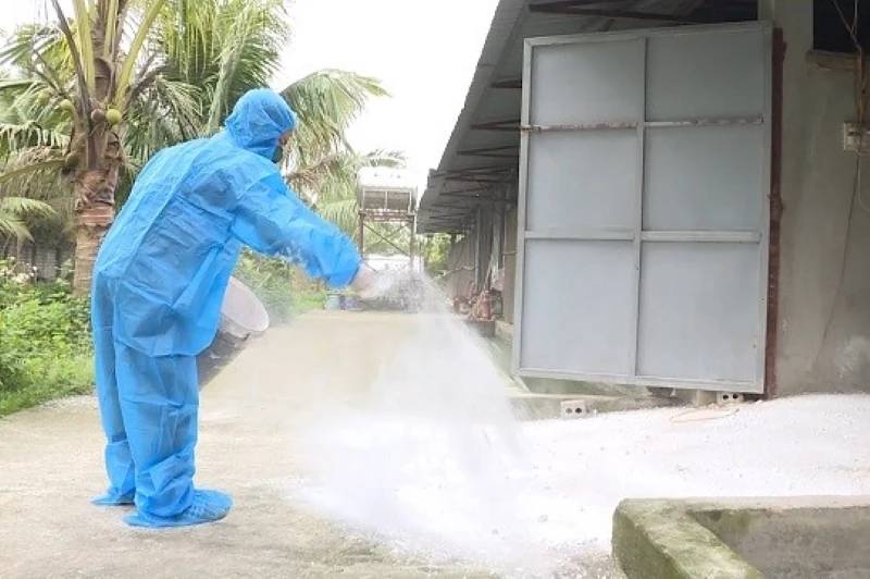 Tháng tổng vệ sinh, khử trùng, tiêu độc môi trường phòng, chống dịch bệnh gia súc, gia cầm được thực hiện trong tháng 3 và tháng 4/2026