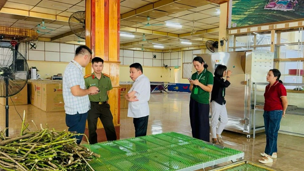 Thực phẩm chức năng: Nguy cơ bị “thổi phồng” công dụng