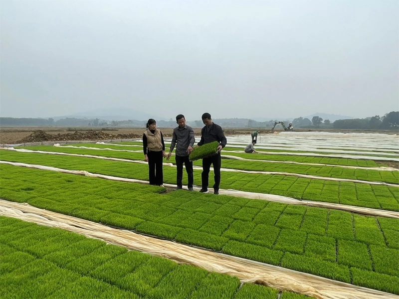 Vĩnh Lộc đưa nghị quyết đại hội Đảng bộ xã vào cuộc sống