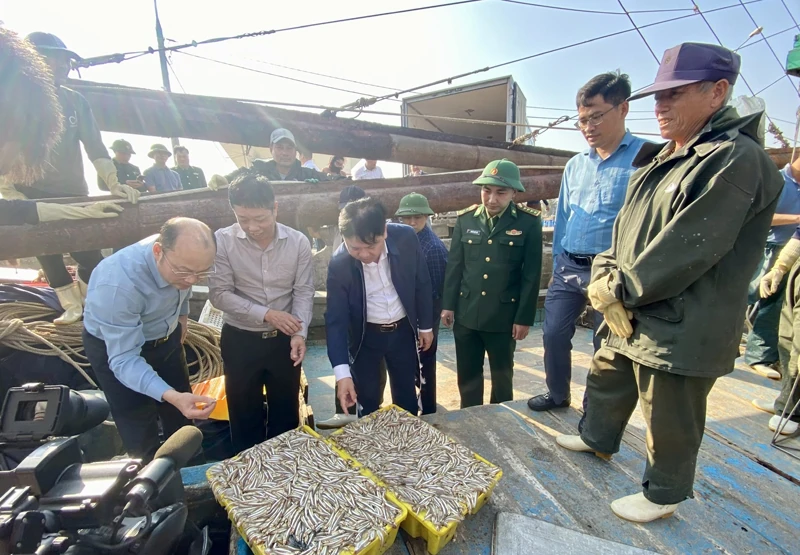 Tuân thủ quy định cập cảng chỉ định để phát triển nghề cá bền vững