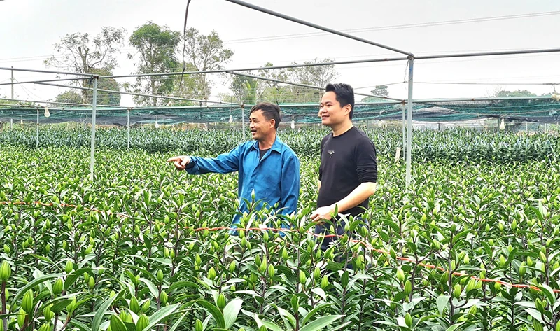 Từ nghị quyết đến cuộc sống