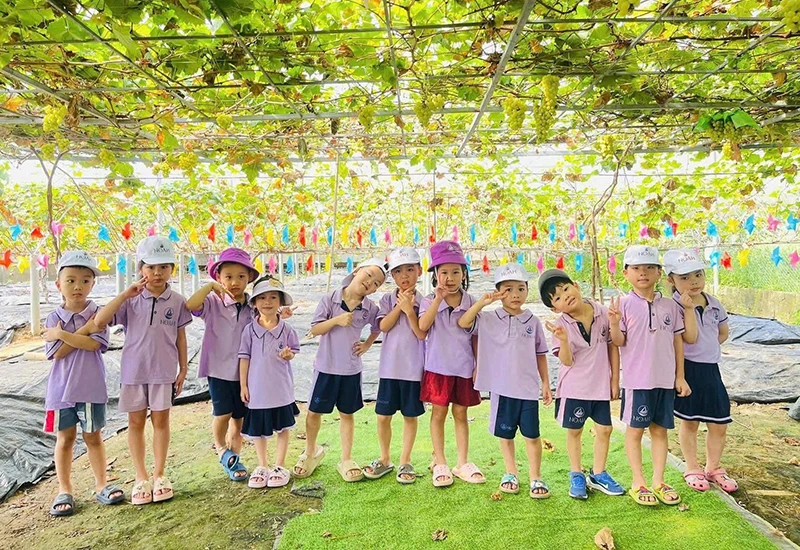 Xanh lên khát vọng (Bài 1): Thức dậy những... mầm xanh