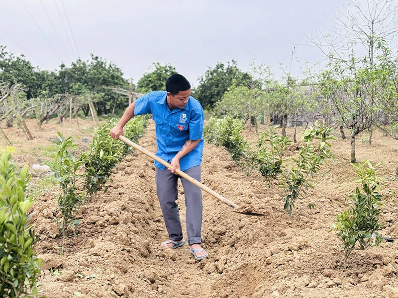 Xanh lên khát vọng (Bài 1): Thức dậy những... mầm xanh