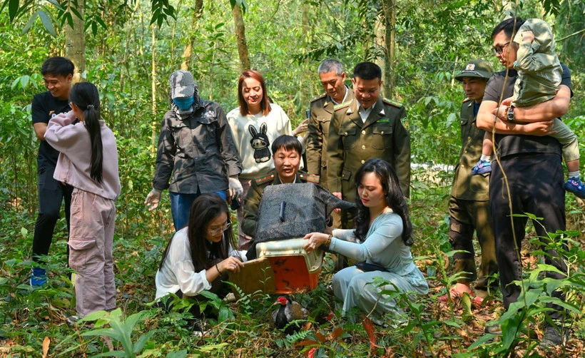 Vườn Quốc gia Cúc Phương sẽ là “ngân hàng gen” tự nhiên vào năm 2050