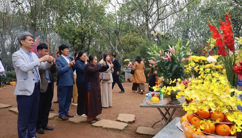 Nhộn nhịp tour “lên rừng, xuống biển” đầu xuân