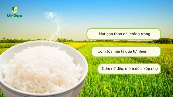 Tại sao Gạo Đài Thơm 8 lại được ưa chuộng để làm từ thiện?