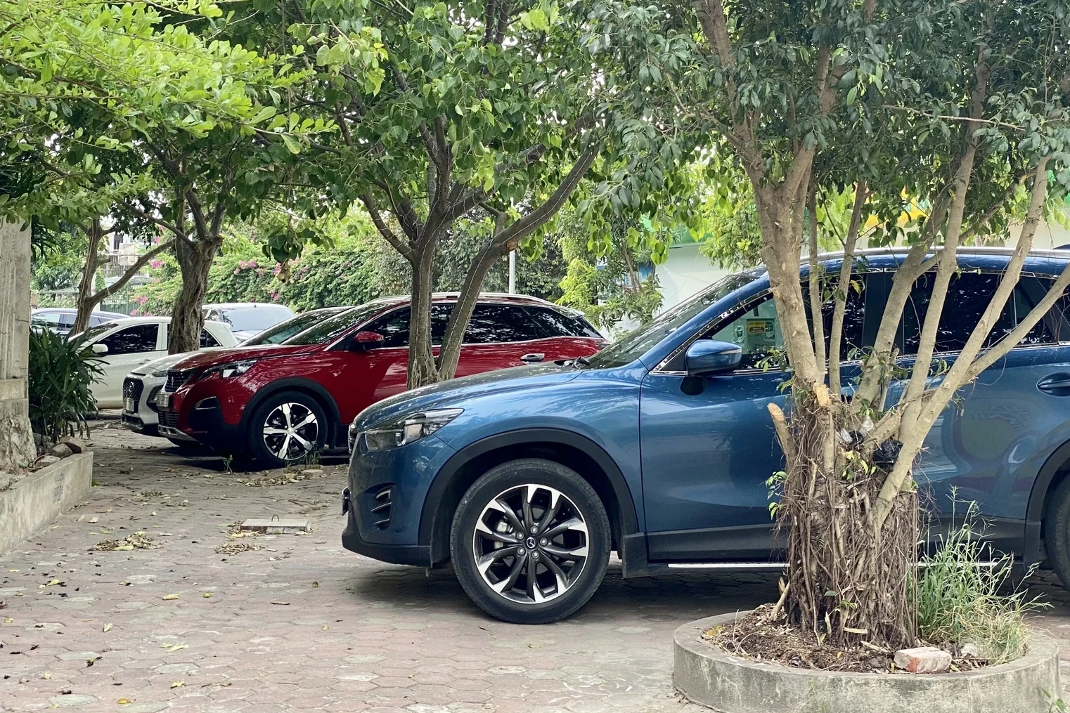 Triển khai thu phí không dừng tại bến xe, bãi đỗ xe trong đô thị đảm bảo theo đúng lộ trình